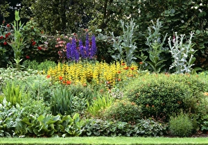 Summer Flower Arrangements Drucke: Early summer boarder