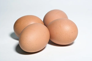 Egg Nutrition Facts Drucke: Eggs