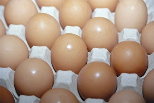 Egg Nutrition Facts Drucke: Eggs