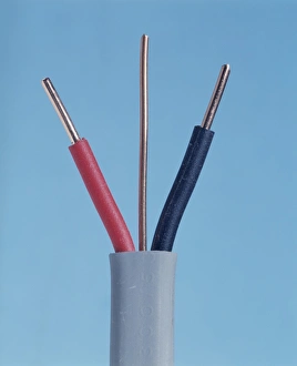 Drucke von Elektrischer Kabelzug. Schnittstelle eines Zweikern- und Erdungskabels mit einem Cutaway-Schnitt. Die Neutralleiter (schwarz) und die Leitungsleitung (rot) sind individuell isoliert Bilder Datiert 2004 Juli: Elektrischer Kabel