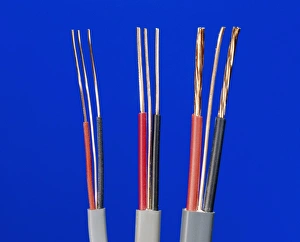 Drucke von Elektrische Kabeln. Jedes Kabel besteht aus einem lebenden Leiter mit einer neutralen und Erleuchtungskraftleitung, die in Gummihüllen isoliert sind Bilder Datiert 2009 März: Elektrische Kabel