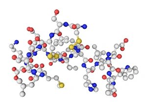 Heart Disease Risk Factors Drucke: Endothelin-1 molecule