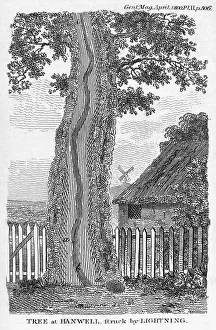 Drucke von Ein Holzgrabendepiction eines Baumes der nach einem Blitzschlag gespalten war, bei Hanwell im Westen von London Bilder Datiert 2010 November: Gravur eines Baumes, der von Blitz gespalten wurde