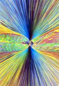 Drucke von Enkephalinkristalle im polarisierten Lichtmikroskop. Enkephalins ist ein Endorphin, das in der menschlichen Gehirn gefunden wird Bilder Datiert 2009 Januar: Kristalle von Enkephalinen, Lichtmikroskopie