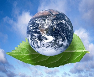 Climate Change Image Drucke: Environmental issues, conceptual artwork