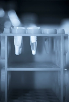 Eppendorf-Röhrchen