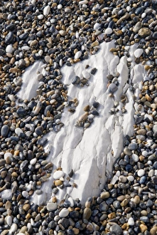 Coastal Erosion Images Drucke: Eroded chalk deposit