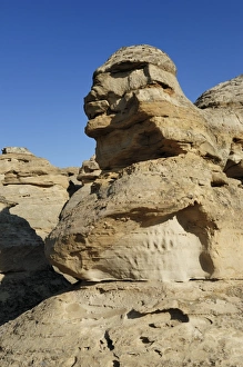 Alberta Canada Landscape Photography Drucke: Eroded sandstone hoodoo, Alberta