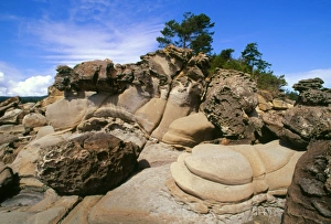 Eroded Sandstone Drucke: Eroded sandstone rocks