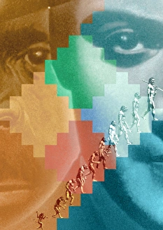 Human Evolution Drucke: Evolution
