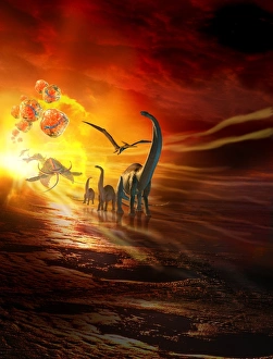 Bilder Datiert 8. November 2012: Evolution, konzeptionelles Bild