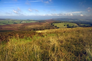 West Country Landscapes Drucke: Exmoor, Devon