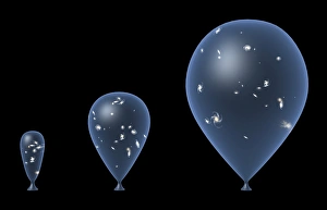 Drucke von Die erweiterte Universumwelt. Computerartikel, der die räumliche Erweiterung des Universums mit dem Vergleich einer aufgeblätterten Schlauchballon illustriert Bilder Datiert 2007 November: Erweiterter Universum, Computerkunstwerk