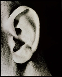 Human Ear Anatomy Drucke: External view of a mans ear