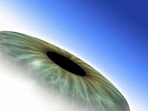 Iris Anatomy Drucke: Eye, computer artwork