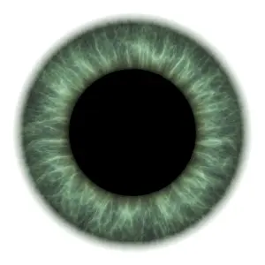 Drucke von Auge. Computergebild eines engen Aufnahmes der Dilatation des Iris und Pupillens einer Augen Bilder Datiert 2010 Januar: Eye