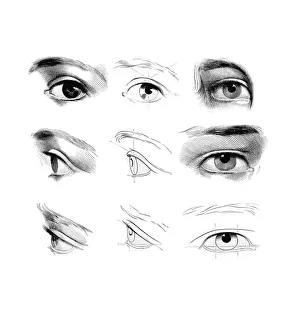 Human Eye Anatomy Drucke: Eyes, artwork