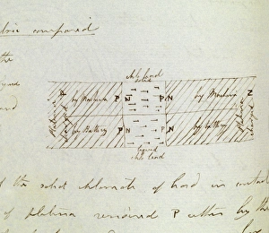 Michael Faraday Drucke: Faraday on electrostatic induction, 1836