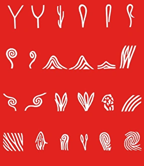 Fingerprint Analysis Drucke: Features of fingerprints, artwork