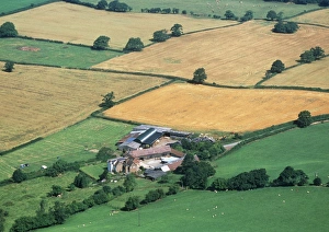 Harvested Fields Drucke: Fields