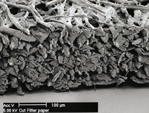 Drucke von Filterpapier mit Scanning-Elektronen-Mikroskop (SEM)-Bild der gekürzten Endseite eines Stücks Filterpapier, das viele Zellulosefasern zeigt und die vielfältige Struktur dieses porösen Materials Bilder Datiert 2003 Januar: Filterpapier, SEM