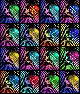 Fingerprints