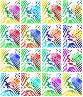 Fingerprints