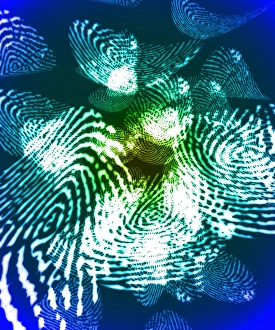 Biometric Identification Drucke: Fingerprints, computer artwork