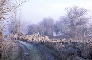 Frosty Landscape Photography Drucke: Flood plain