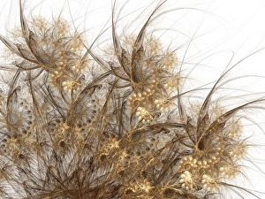 Abstract Flower Art Drucke: Flowers, abstract artwork