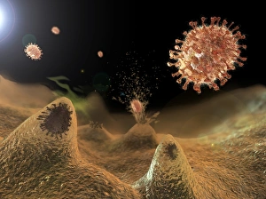 Viral Surface Proteins Drucke: Flu viruses