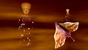 Alien Life Forms Drucke: Flying aliens, artwork