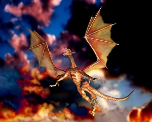 Bilder Datiert 20. September 2005: Fliegender Drache