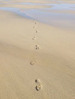 Footprints In Sand Drucke: Footprints in sand