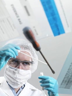 Deoxyribonucleic Acid Drucke: Forensic science