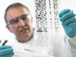 Rechtswissenschaftliche Analyse