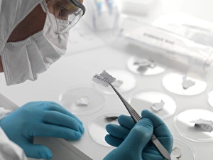 Rechtswissenschaftliche Analyse
