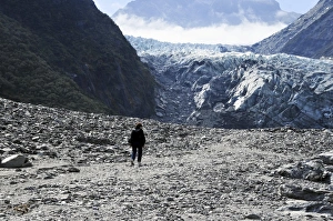 Female Traveler Adventure Drucke: Fox Glacier