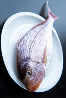 Food Photography Tips Drucke: Bream