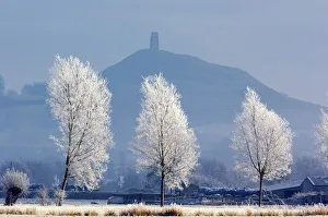 Bäume Drucke: Eisgekühlte Bäume und der Glastonbury-Turm