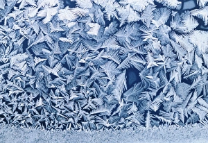 Cold Weather Photography Drucke: Frost on window