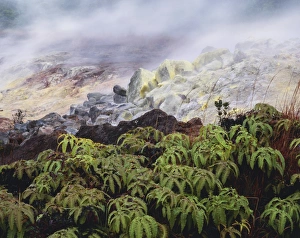 Kilauea Volcano Drucke: Fumarole vents