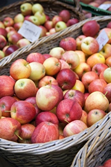 Malus Domestica Photos Drucke: Gala apples