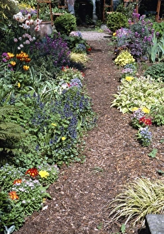 Spring Flower Arrangements Drucke: Garden path