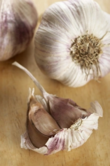 Allium Sativum Drucke: Garlic