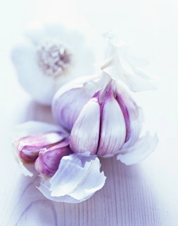 Allium Sativum Drucke: Garlic bulbs