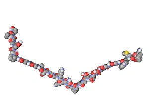 Drucke von Gastrin-Hormonmolekül. Computermodell zeigend die Struktur des menschlichen Hormons Gastrin Bilder Datiert 2009 Oktober: Gastrins Hormonmolekül