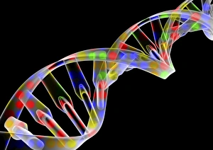 Bilder Datiert 12. Oktober 2012: Gen-Gene-Switching Kunstwerk