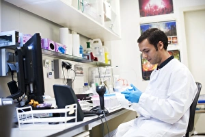 Deoxyribonucleic Acid (DNA) Drucke: Genetic analysis, labelling samples C019 / 0256