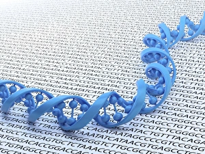 Double Helix Structure Drucke: Genetic code, artwork F006 / 8998